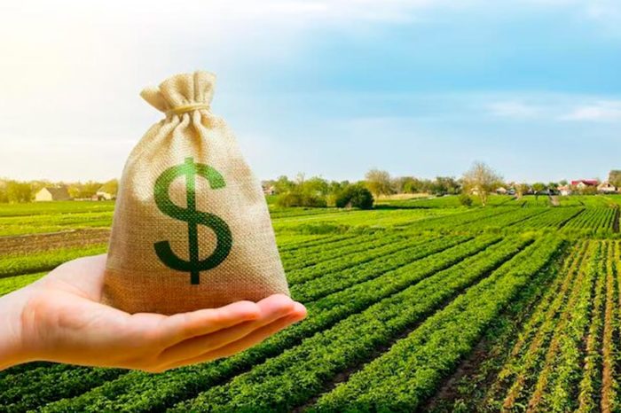 Productores reiteran llamado a reactivar cartera de crédito agrícola