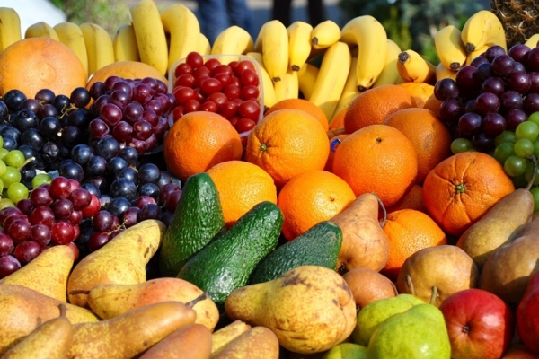 Lara realizó la primera exportación de seis toneladas de hortalizas y frutas a Panamá