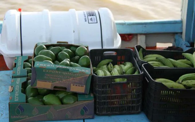 Seis barcos con frutas y hortalizas salen por semana desde la Vela de Coro hacia Curazao