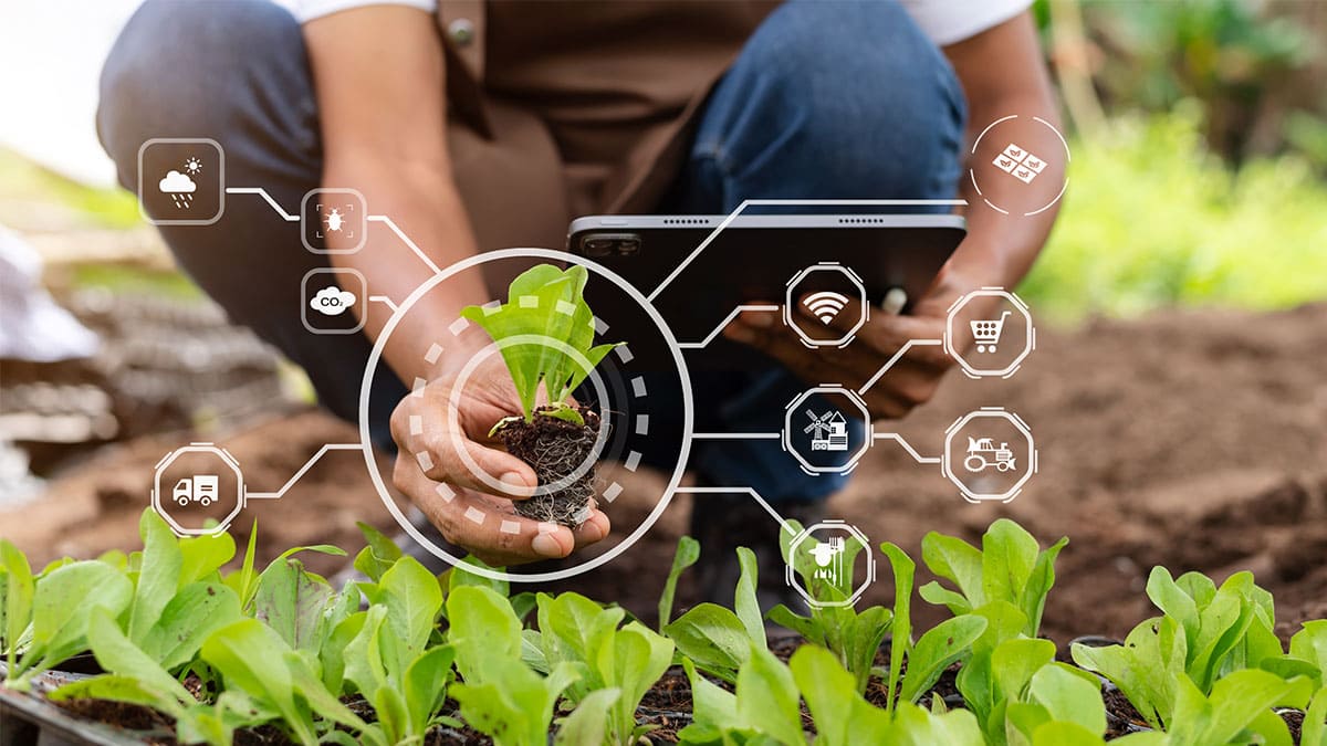 Agroser y RisoBacter: crean alianza estratégica para apoyar la agricultura regenerativa en Venezuela