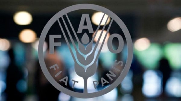 Precios mundiales de los alimentos repuntaron en marzo, informó la FAO