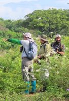 Biólogos de toda Venezuela han visitado a Aragua para la observación de esta ave