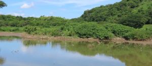 La laguna de Taiguaiguay es una de las áreas más ricas en biodiversidad de aves acuáticas