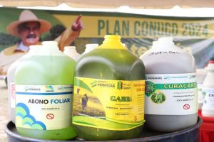 abono, herbicida y fungicida para garantizar el éxito en la siembra de caraota
