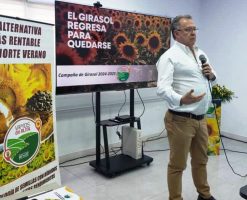 Francisco Fernández, presidente de Diproagro, resaltó que como hace 20 años, el consorcio vuelve a confiar en la producción de este rubro
