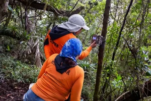 Con cámaras estudian animales del Waraira Repano
