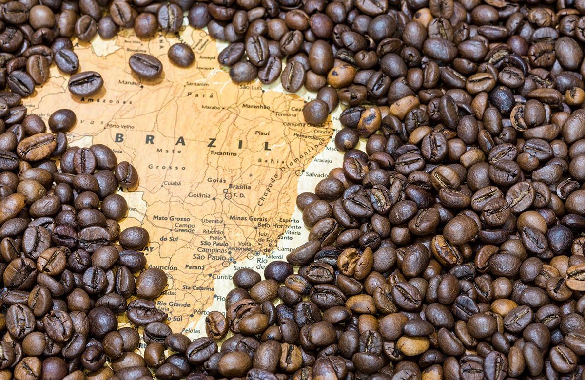 Exportaciones de café de Brasil caen un 21,4% hasta julio