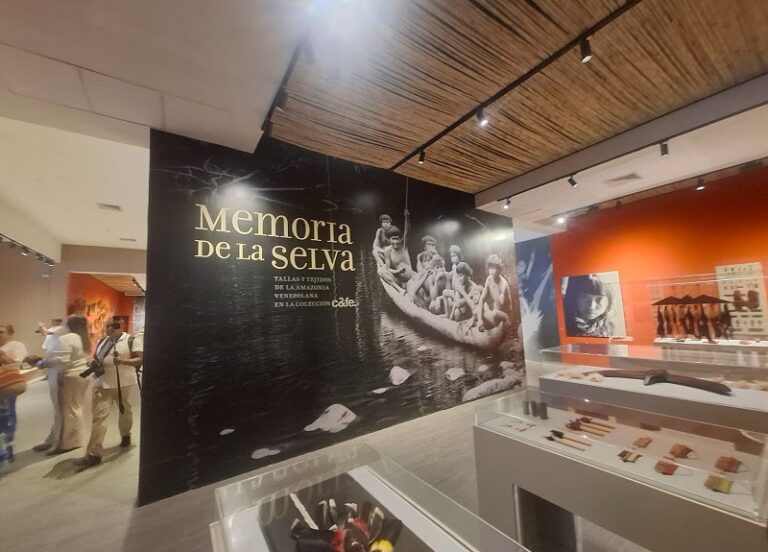 Bodegas Pomar celebra el arte y la identidad venezolana en la exposición “Memoria de la selva”