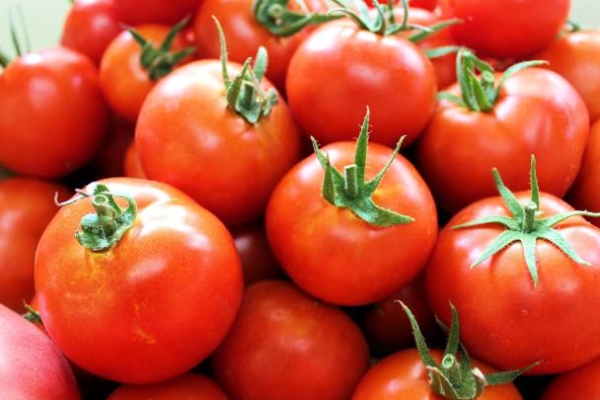 México fija precios mínimos de exportación para el tomate fresco