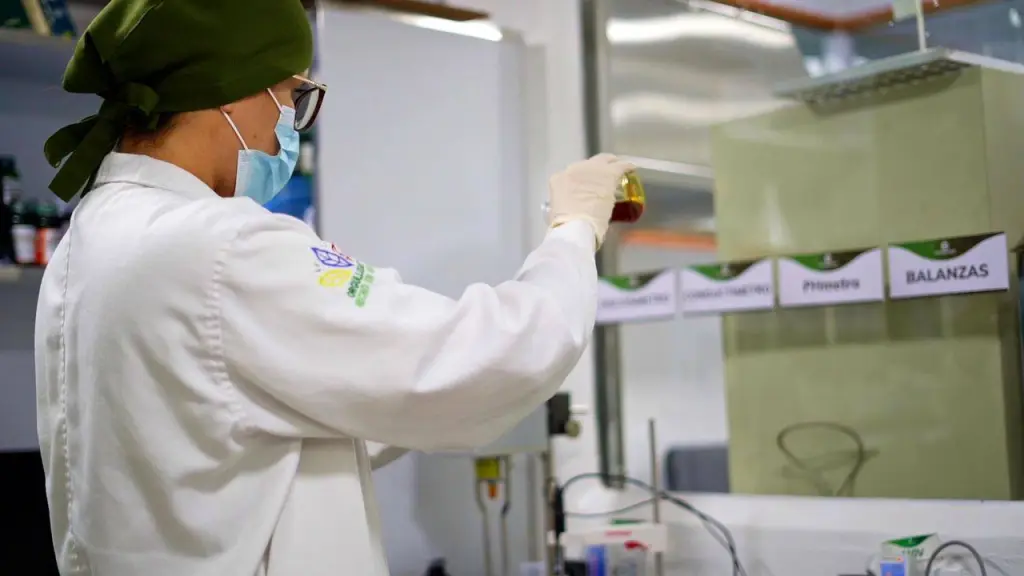 Herbaplant logró aumentar su participación en el mercado de productos naturales en Venezuela