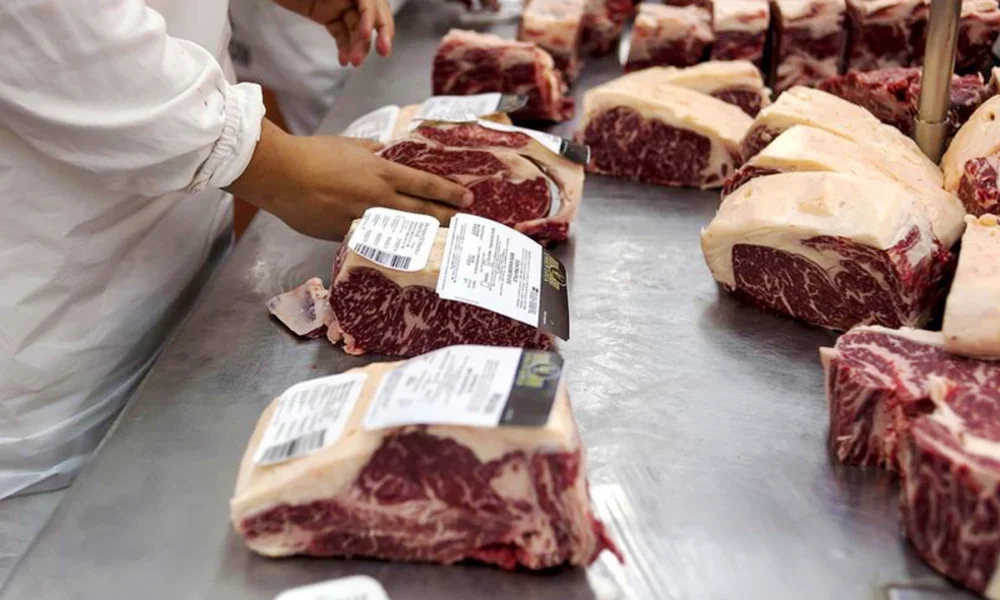 Argentina pierde oportunidad global por estancamiento en stock de carne
