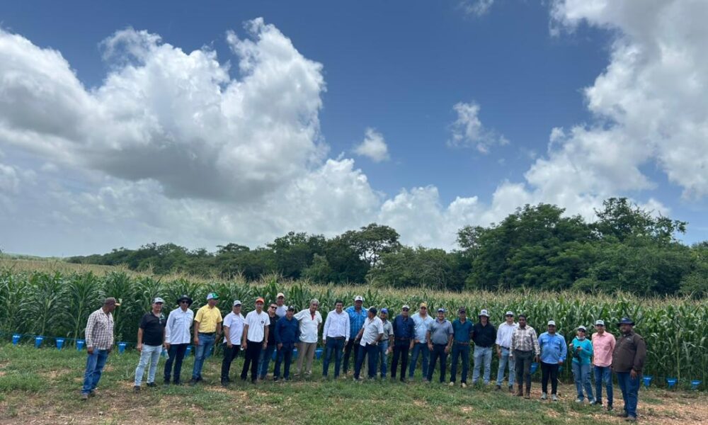 Agropecuaria JDS presente en Día de Campo de Agrinova y Syngenta
