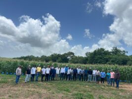 Agropecuaria JDS presente en Día de Campo de Agrinova y Syngenta