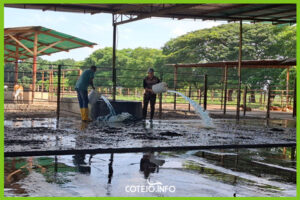 Los corrales y toda la infraestructura ganadera, en muchas de las fincas quedaron bajo el agua y ahora se asoman los daños | Fotografía: Equipo periodístico de Cotejo.info