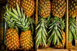 Productores de piña piden planes de desarrollo