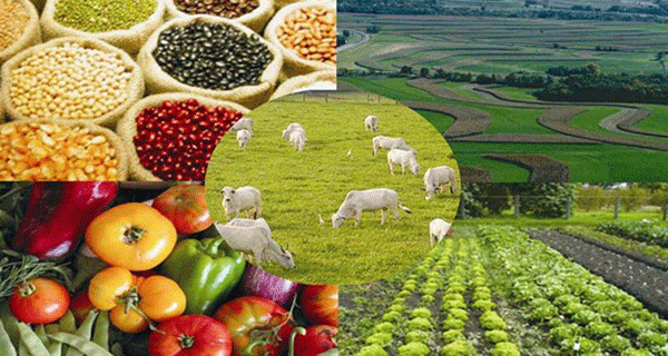 Maduro proyecta crecimiento económico de 9% en 2025 y destaca avances en producción de alimentos