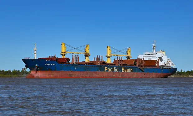 India rompe récord al comprar aceite de soja argentino masivamente