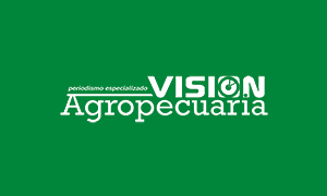 Advierten que la inseguridad alimentaria arropa a todos los hogares del país