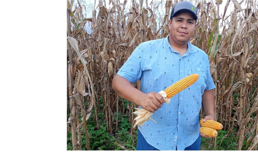 Víctor Tusa: Con Agropecuaria JDS 2017 C.A, hemos logrado obtener mejores cosechas Víctor Tusa: Con Agropecuaria JDS 2017 C.A, hemos logrado obtener mejores cosechas