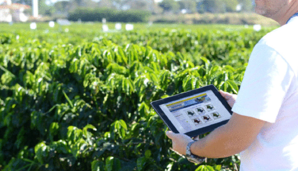 Agrónomos piden planificar importaciones para no afectar a productores venezolanos Agrónomos piden planificar importaciones para no afectar a productores venezolanos