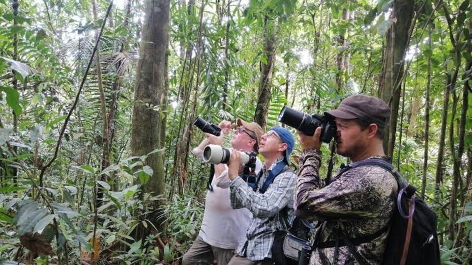 Invitados de más de 23 países visitaron Mérida para ver las 17 especies endémicas de aves