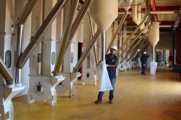 Reactivan Complejo Agroindustrial en Guárico: El proyecto contempla modernización de la maquinaria Reactivan Complejo Agroindustrial en Guárico: El proyecto contempla modernización de la maquinaria