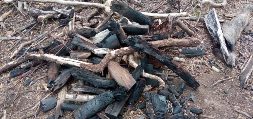 Emergencia Ambiental en Lara: Exigen detener la extracción ilegal de carbón