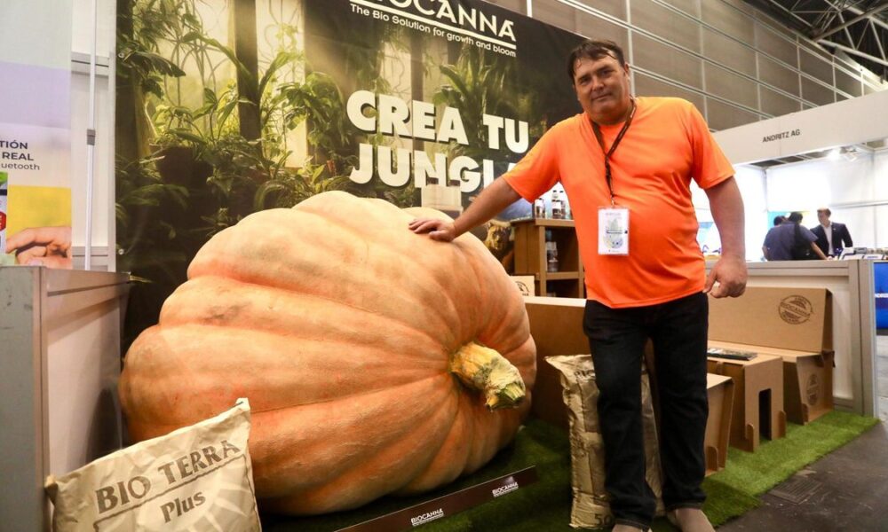 El rey de la calabaza gigante logra el récord de España y segundo del mundo