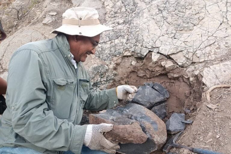 El viernes cinco de octubre, un equipo de siete investigadores partió hacia el municipio Lobatera del estado Táchira bajo la convicción de encontrar restos fósiles. Foto cortesía: IVIC