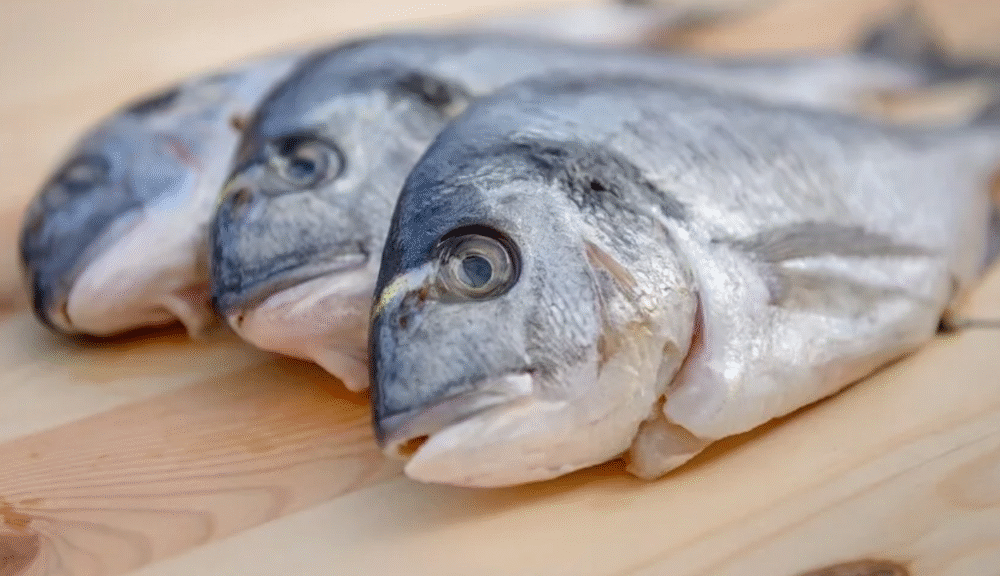 20 millones de personas en riesgo debido a niveles de mercurio en pescado, en cosméticos y en el ambiente