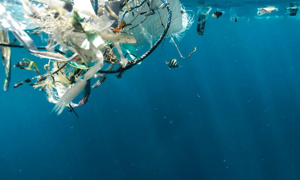 Bacterias biodegradan microplásticos en mar