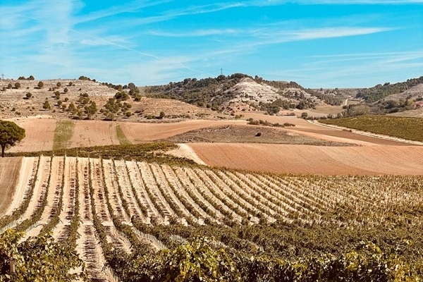 El arte de conectar la tierra con la marca: el Modelo CPM