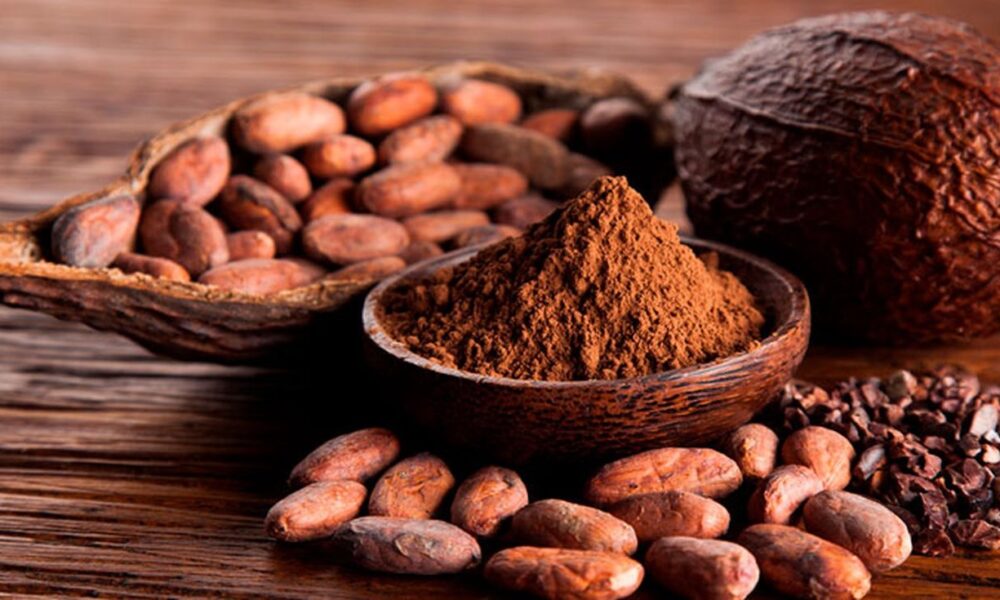 El precio del cacao baja… pero la calidad no debe de bajar