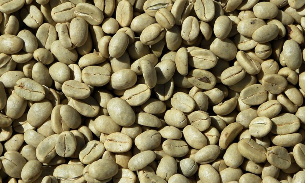 Desde US$ 250 por quintal: Autoridades y productores acuerdan precios referenciales para el café verde