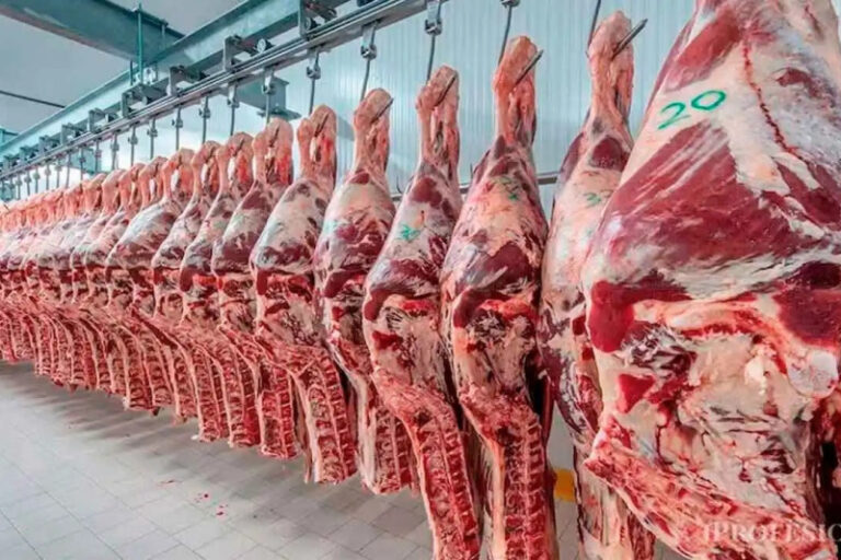 Trump evalúa cuadruplicar importación de carne argentina pese a críticas ganaderas