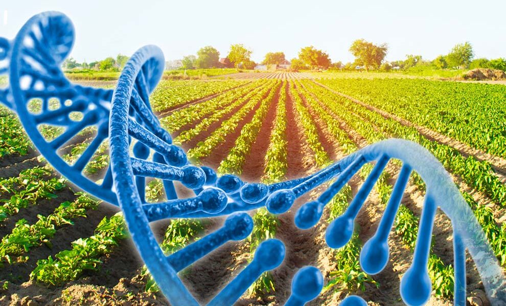 La genética, la biotecnología y las razas criollas en el foco del X Conveme