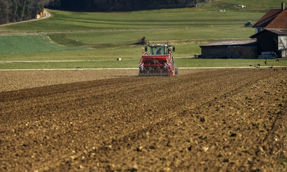 Blanca, empresaria agrícola, tajante: “Facturo casi 20 millones de euros al año, somos como un reloj suizo perfecto”