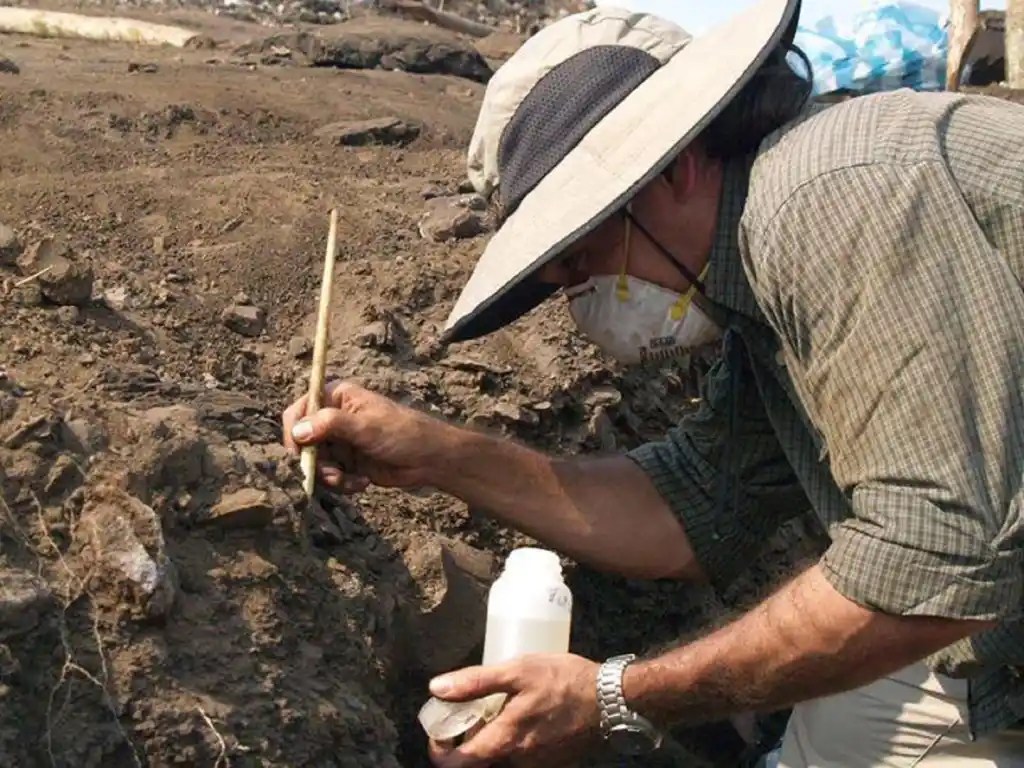 La paleontología requiere de cuantiosos recursos y apoyo institucional. Foto cortesía: El Diario