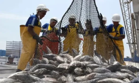 El país de América Latina que produce más pescado y ‘tumba’ a EE. UU.; ahora compite con China e Indonesia El país de América Latina que produce más pescado y ‘tumba’ a EE. UU.; ahora compite con China e Indonesia