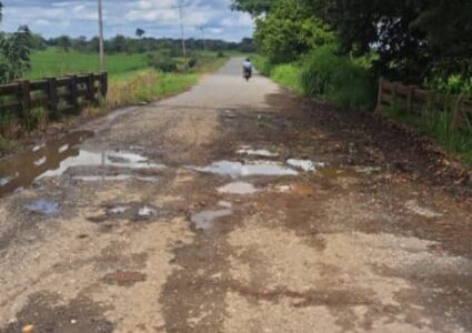 Atención a la vialidad agrícola