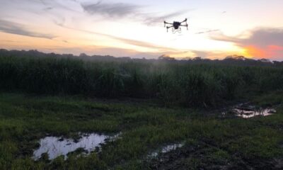 JEAN CARLOS RANGEL REVELA INNOVACIONES QUE REVOLUCIONAN LA AGRICULTURA CON SOCA-DRONES.