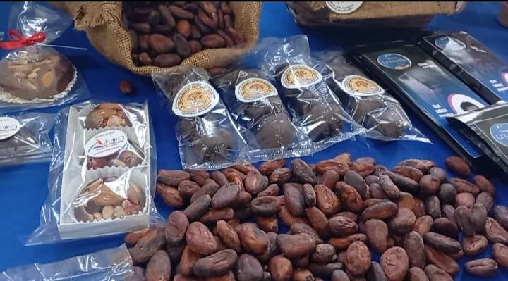 Impulsarán producción y comercialización sostenible del cacao en Sucre