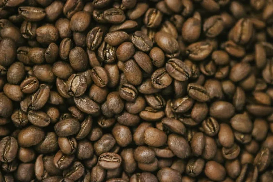 Los Robustas, son cafés industriales