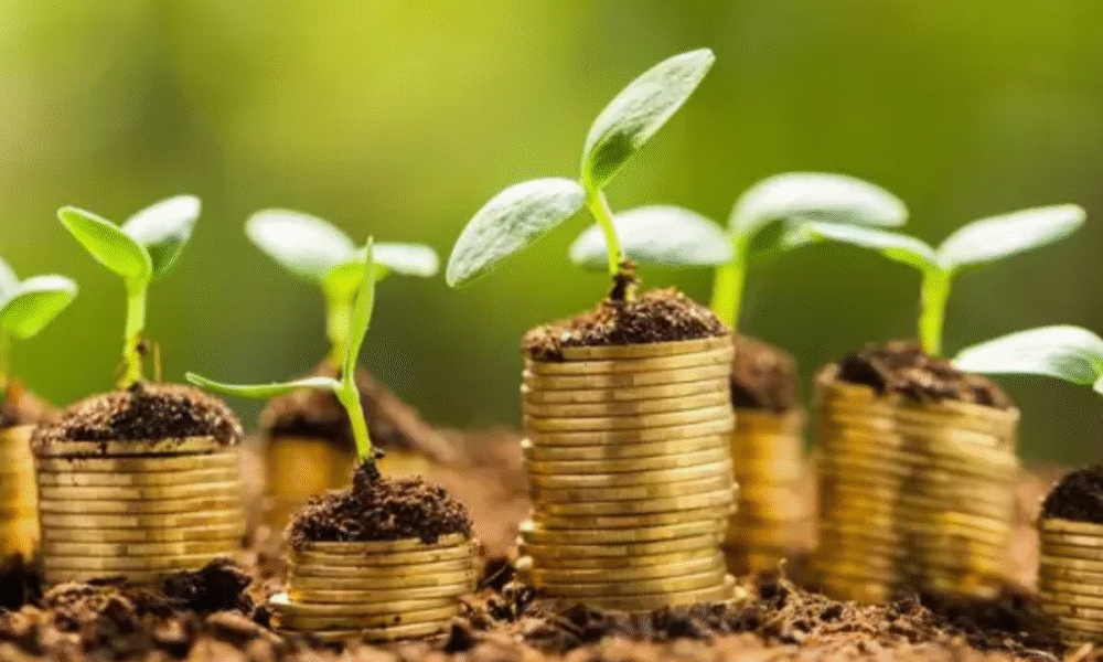 Las finanzas renovables y su importancia para el ambiente