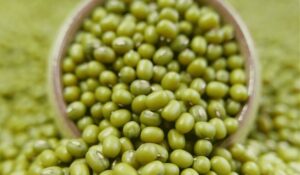 La siembra del ciclo norte verano 2025-2026 avanza con una marcada preferencia