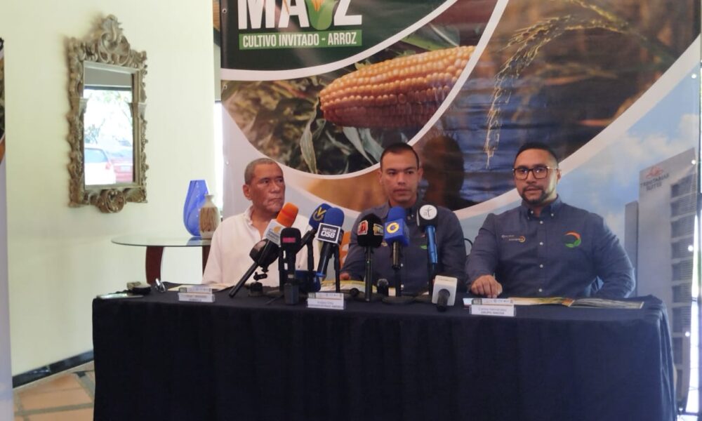 El III Congreso Nacional del Maíz 2026 con invitación al arroz redefine el futuro del agro en Lara