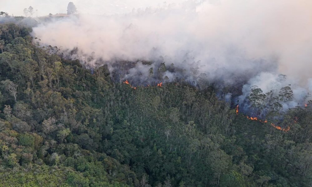 Despliegue nacional contiene incendios forestales en pulmones vegetales estratégicos