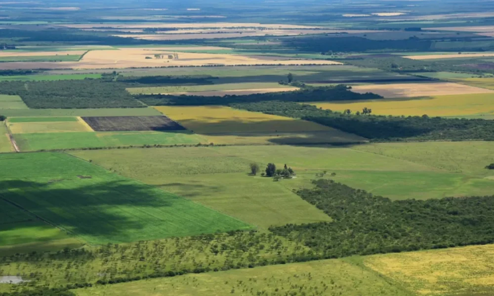 Actualizar la Ley de Tierras pide gremio agrónomo a la Asamblea Nacional