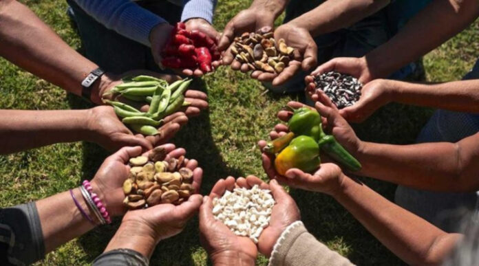 Planes para promover la cultura alimenticia saludable en Venezuela