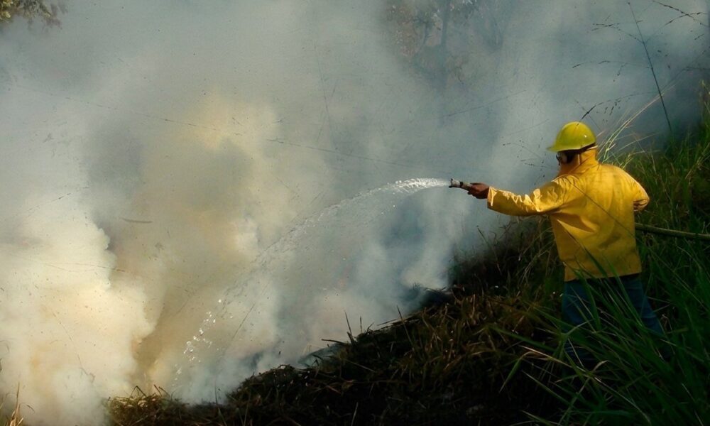 Venezuela registra disminución del 25 % en incendios forestales respecto al anterior período seco